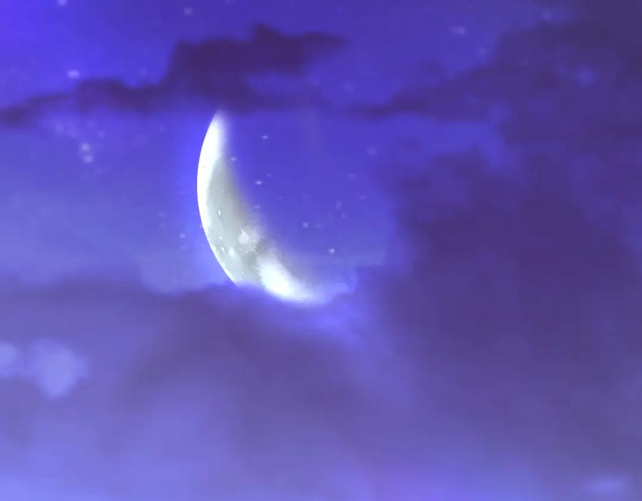 第135页