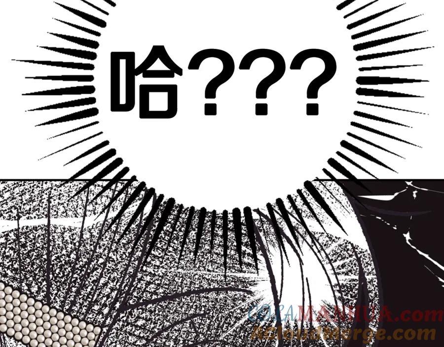 第213页