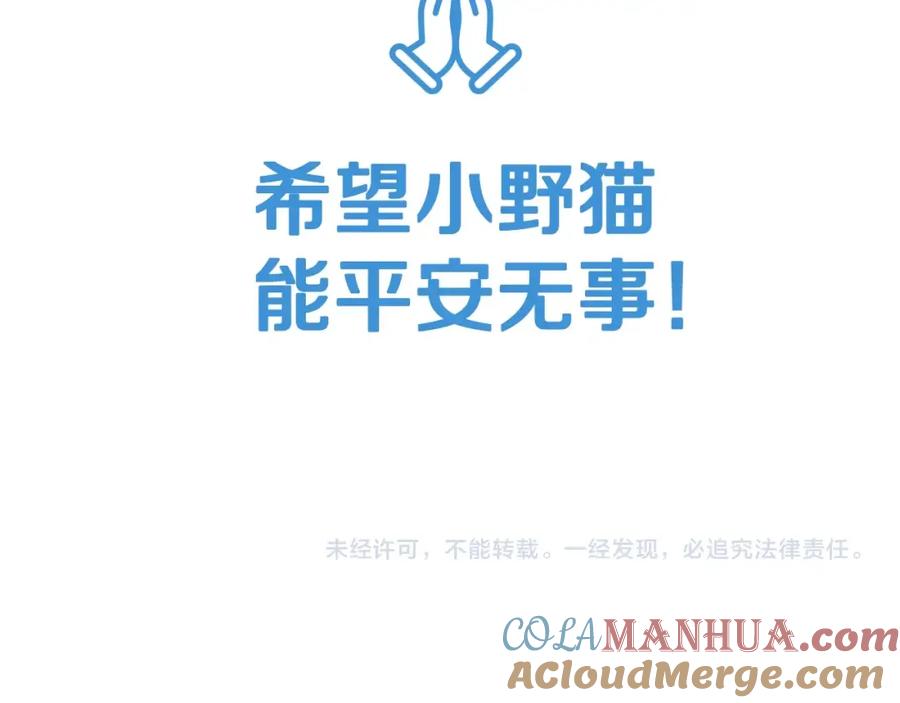 第221页