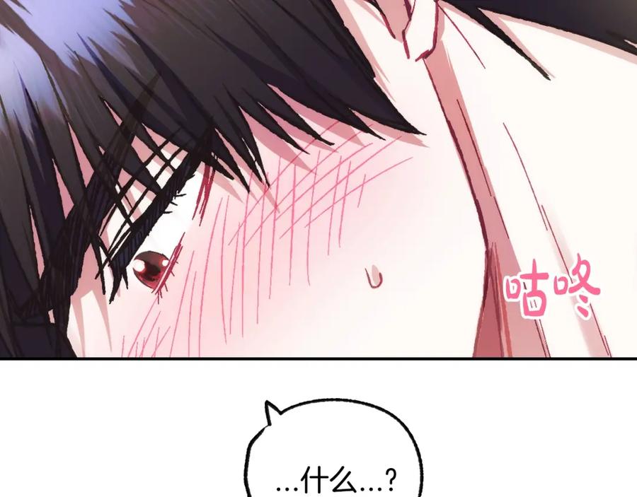 第215页
