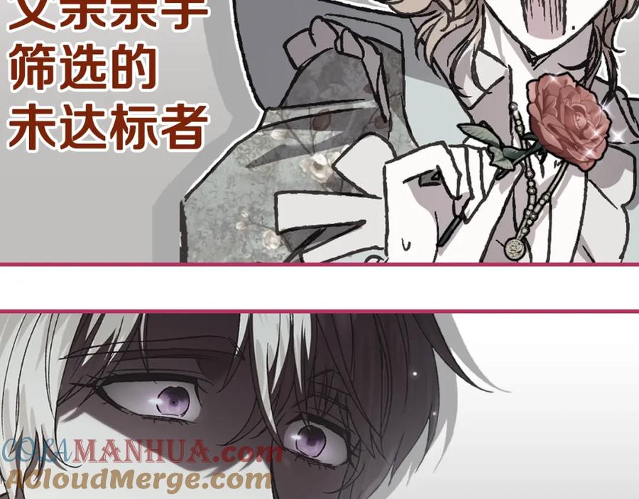 第233页