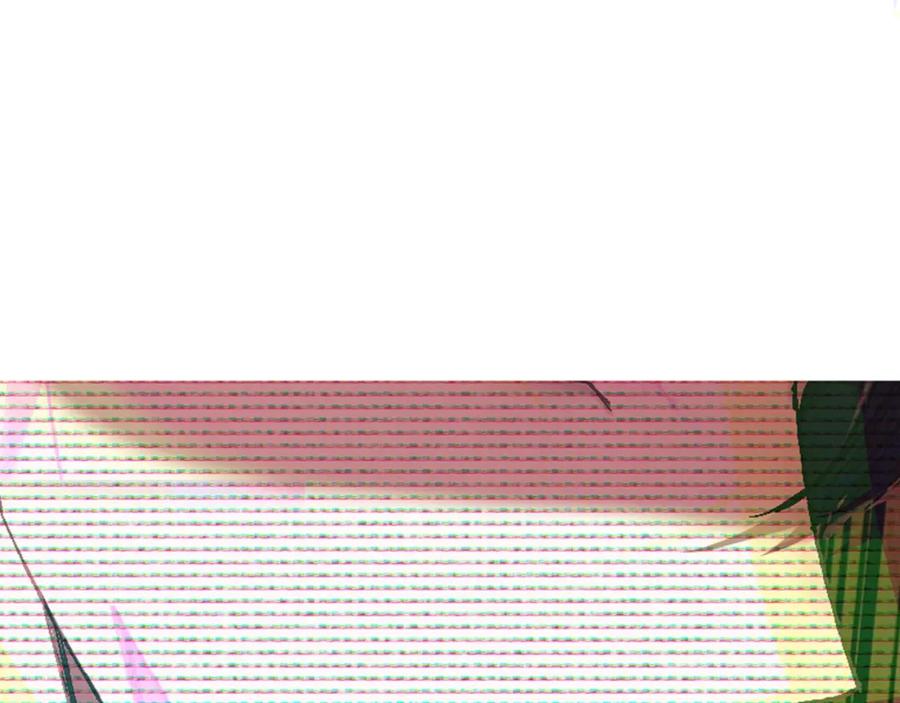 第246页