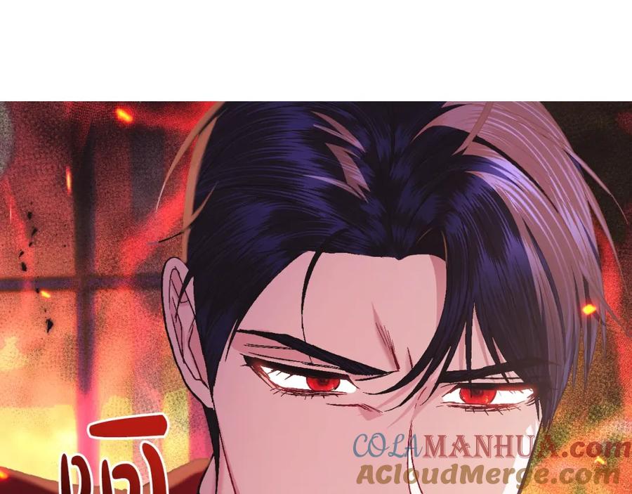 第221页