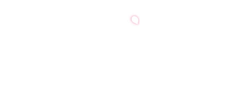 第251页