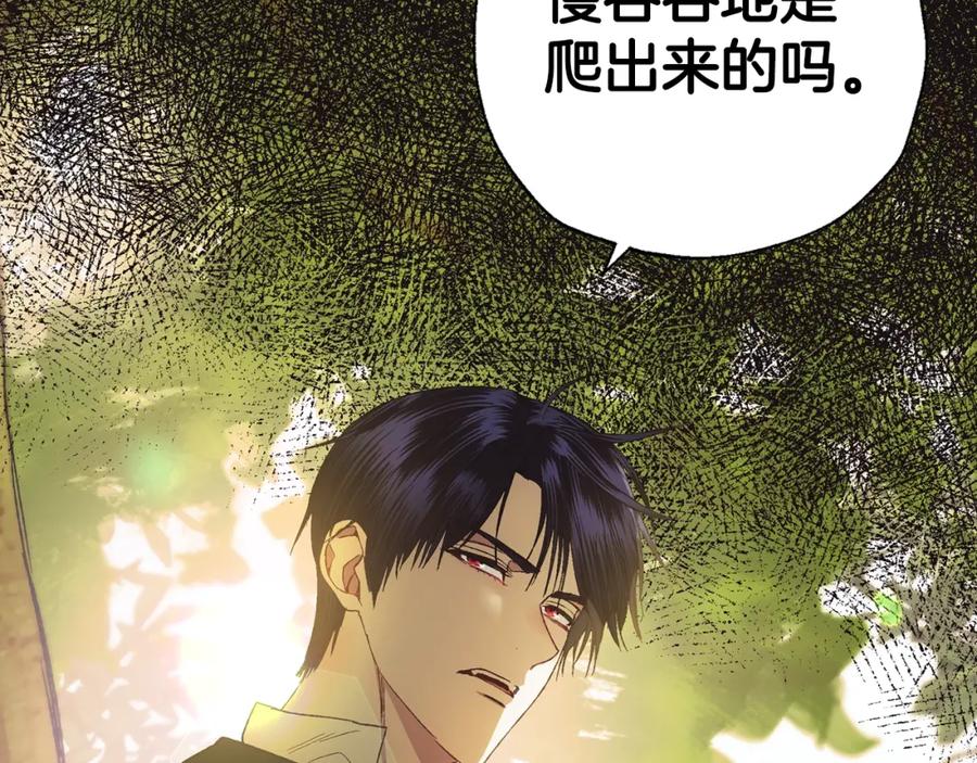 第196页