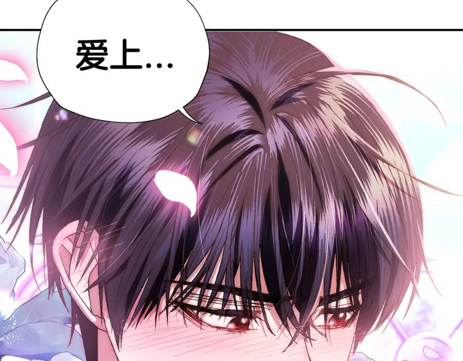 第242页