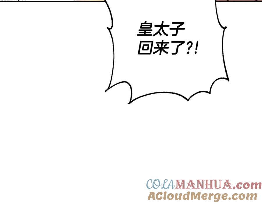 第229页