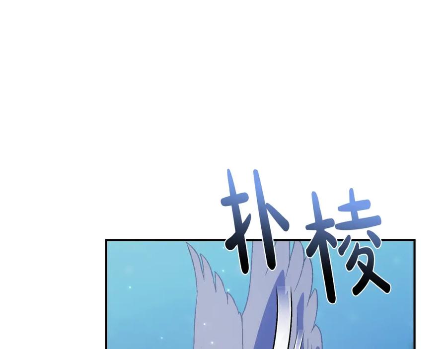 第224页