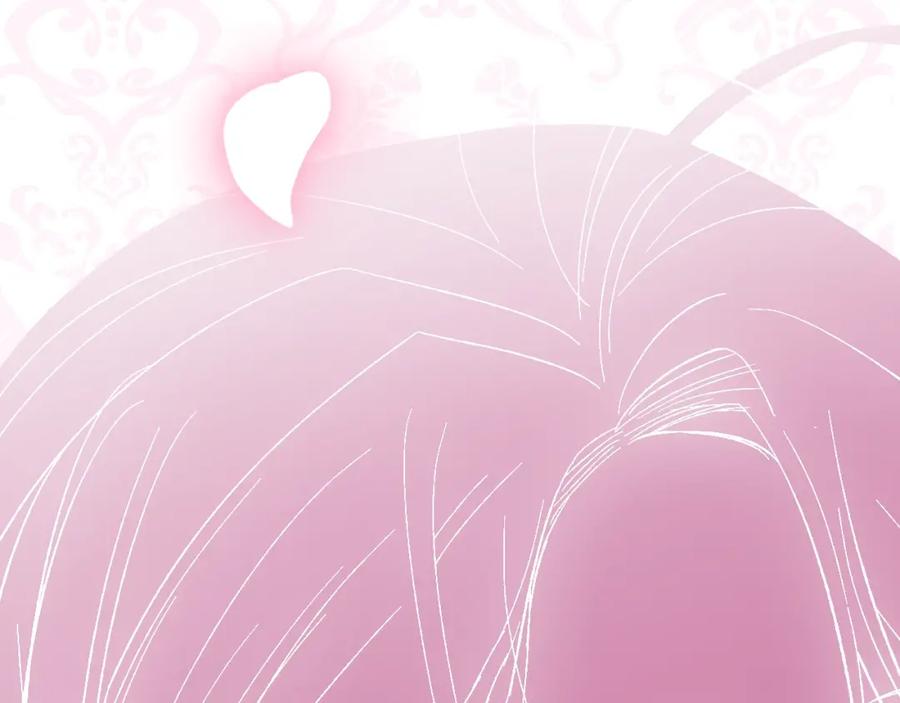 第255页