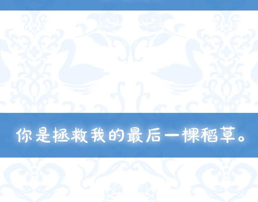 第247页