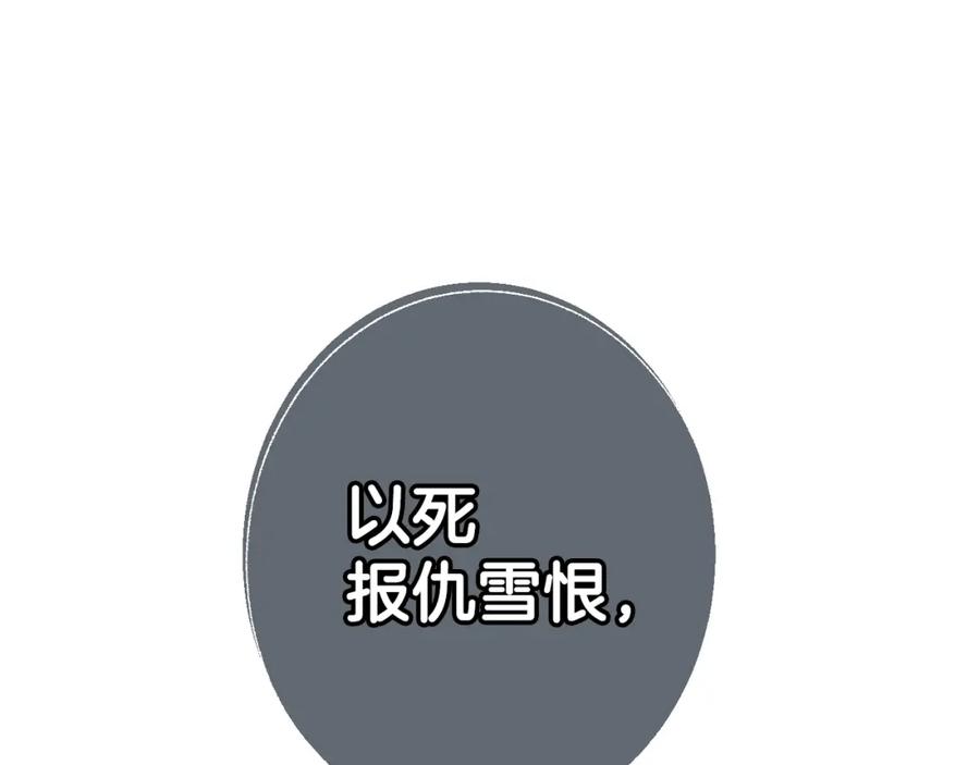 第223页