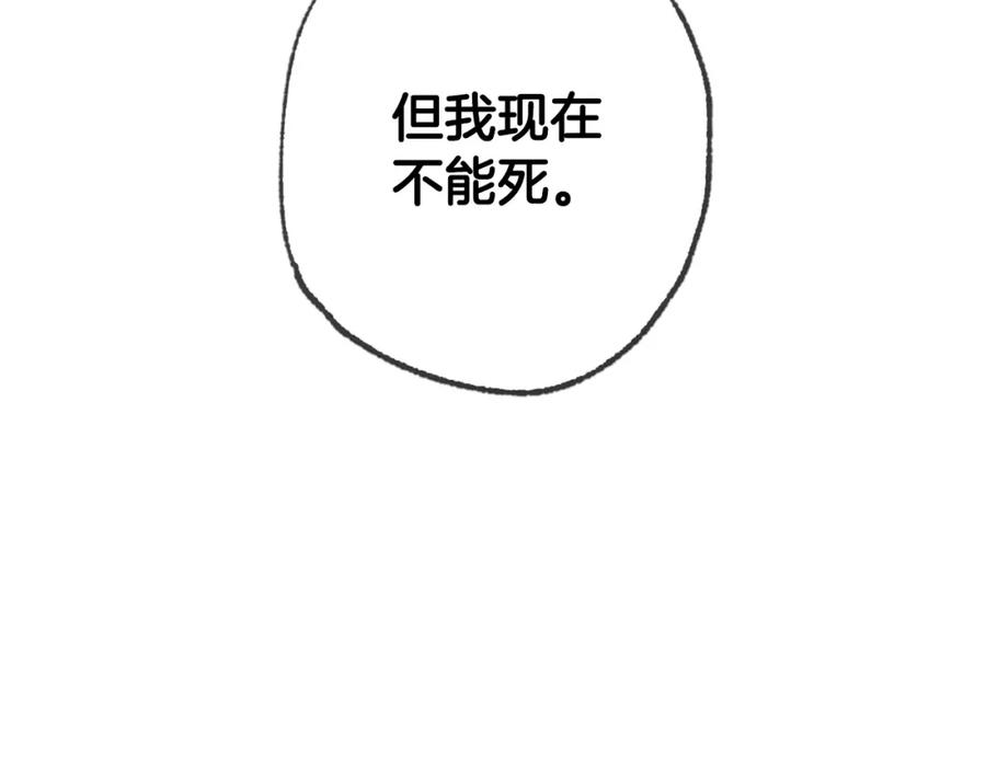 第235页