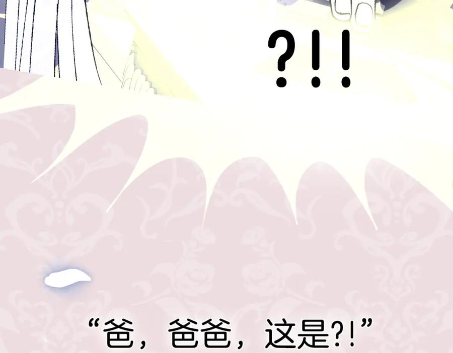第260页