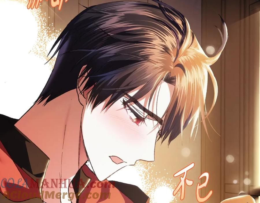 第213页