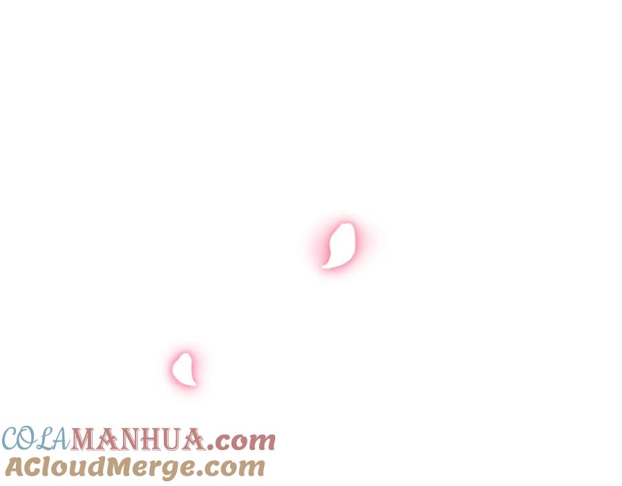 第241页
