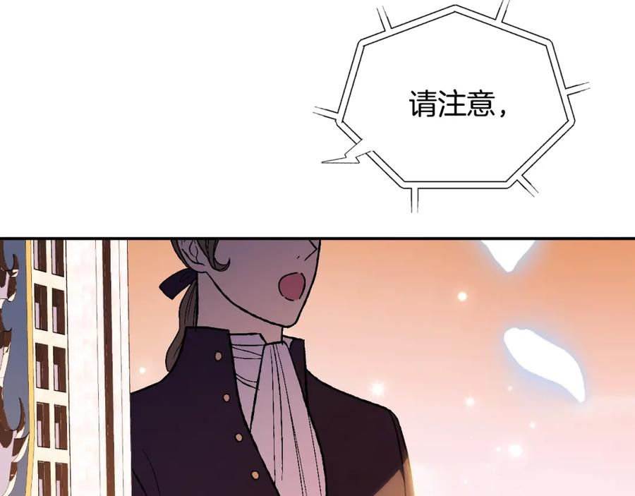 第228页