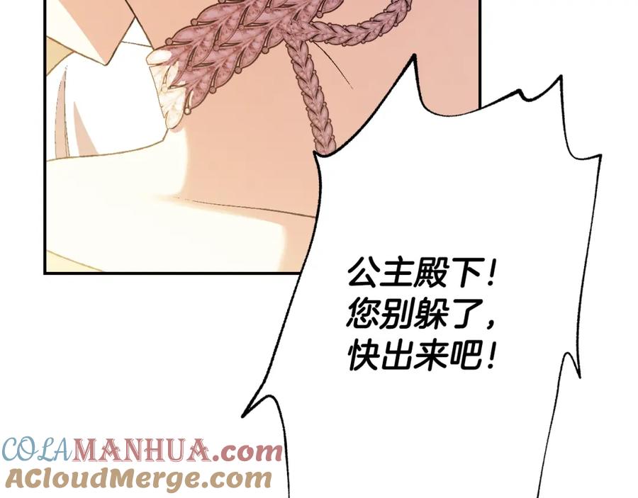 第205页