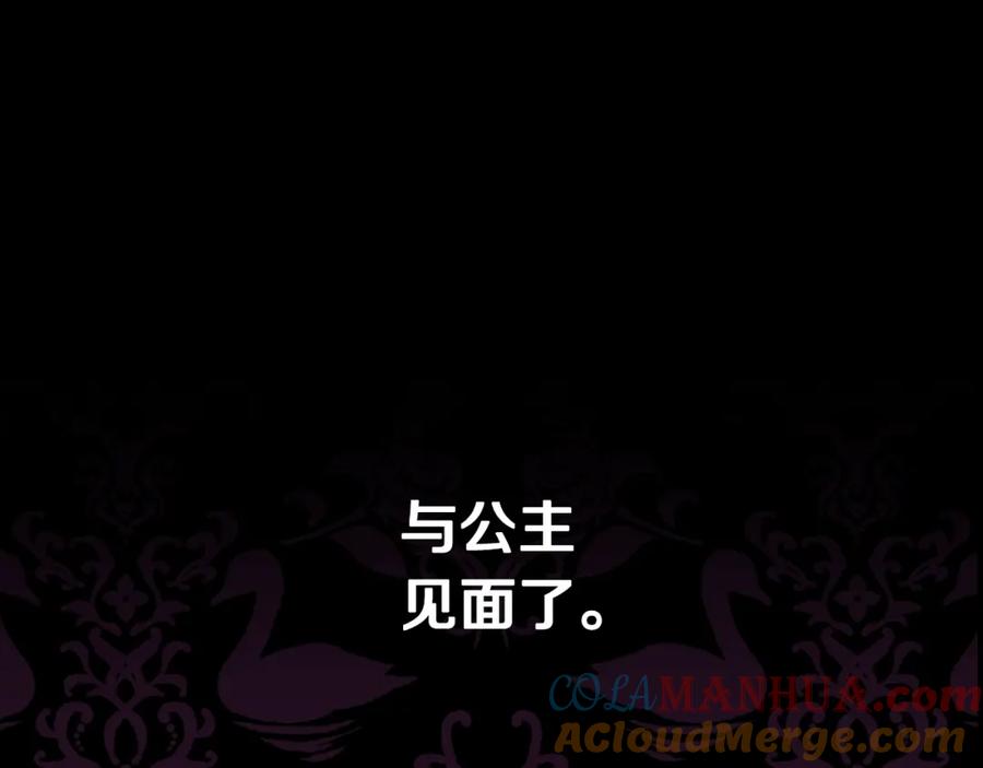 第241页