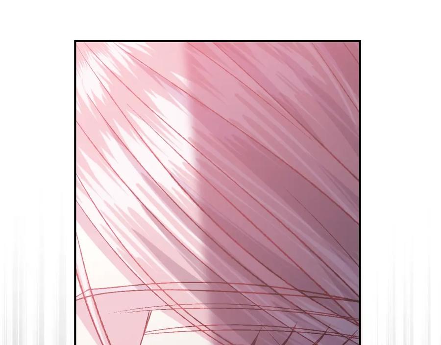 第239页