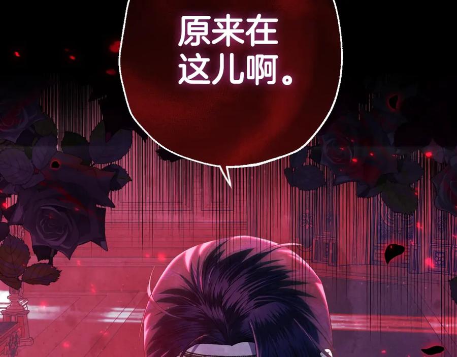 第244页