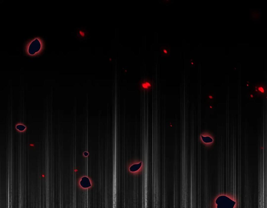 第247页