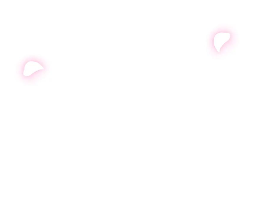 第244页