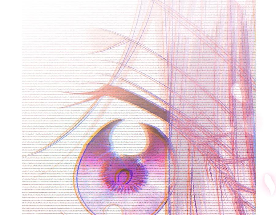 第251页