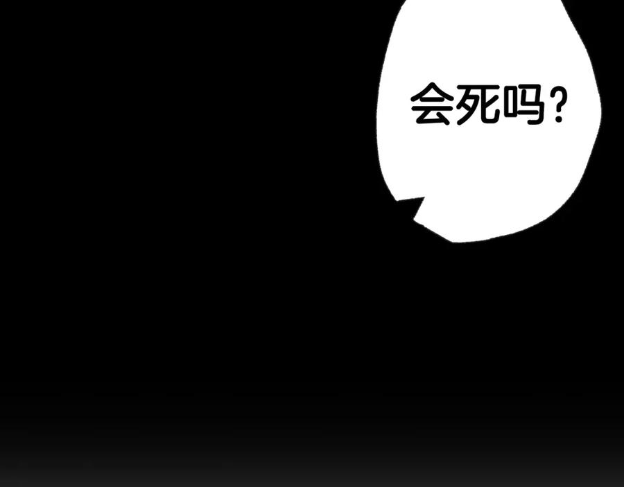第239页