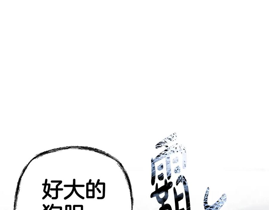 第246页