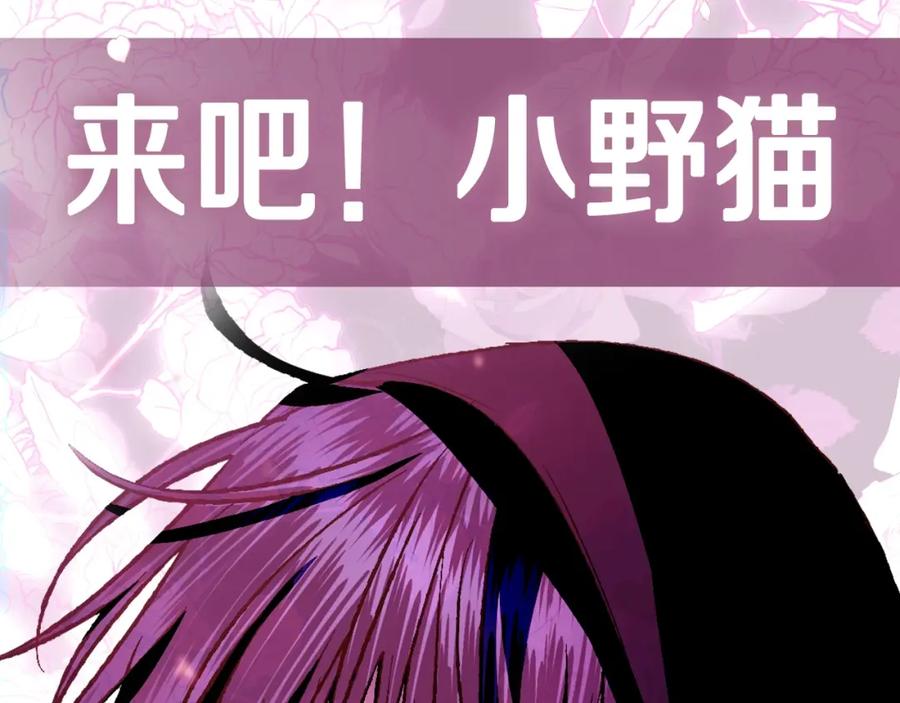 第242页
