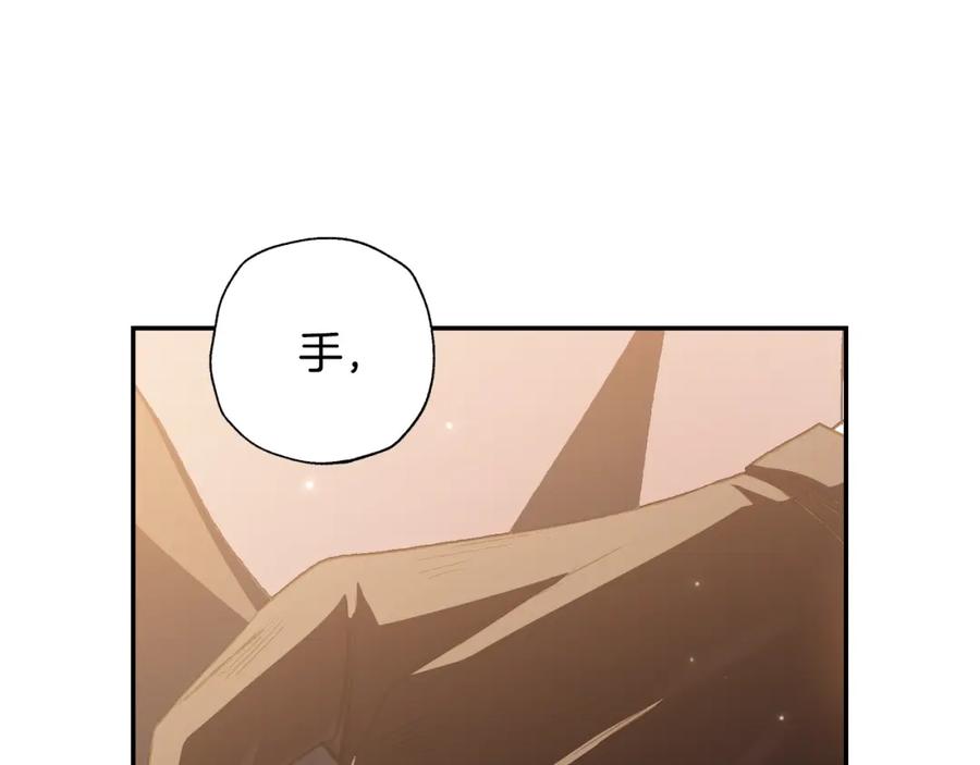 第215页