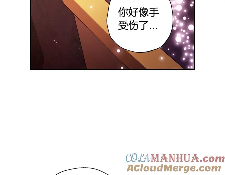 第217页