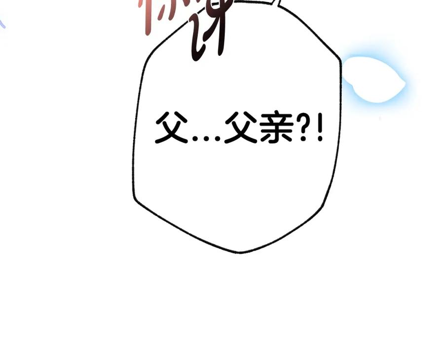 第243页