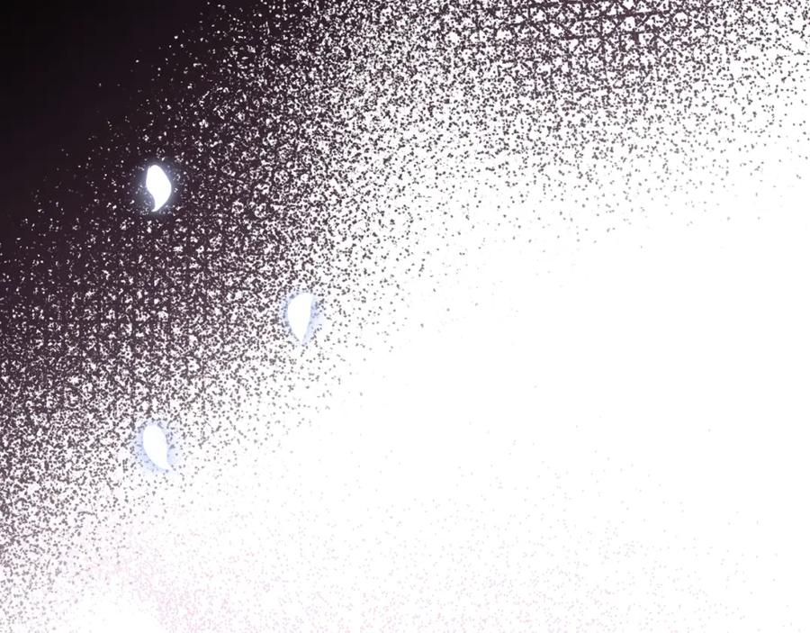 第242页
