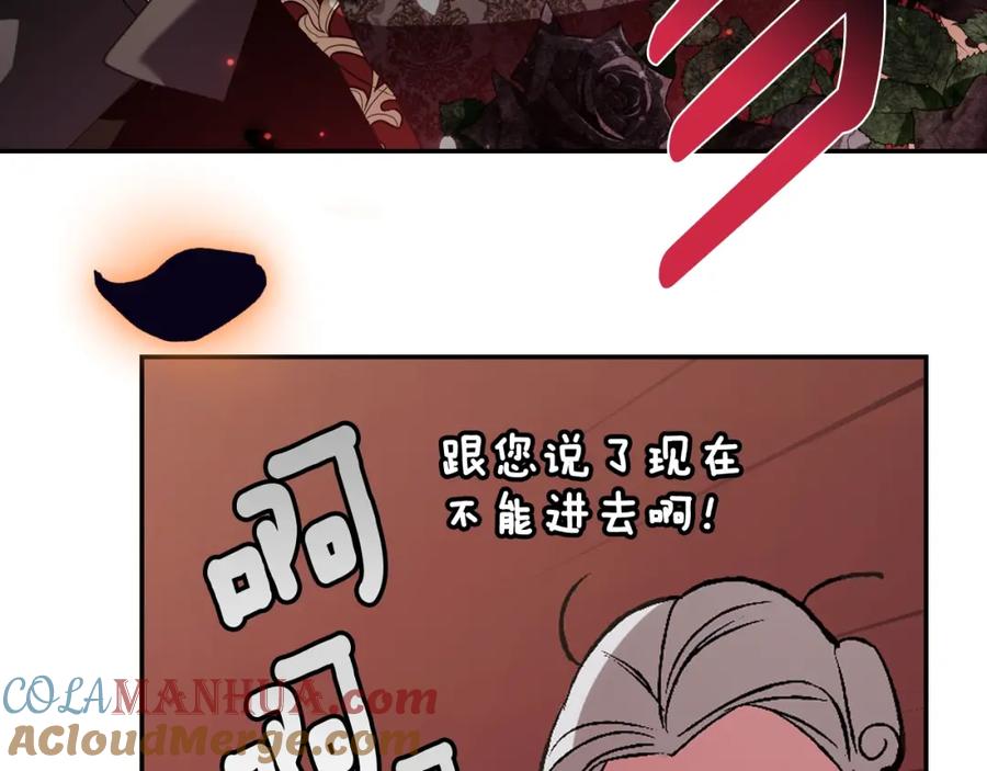 第213页