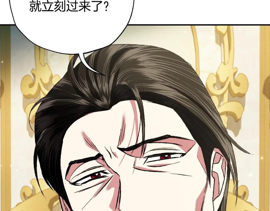 第242页