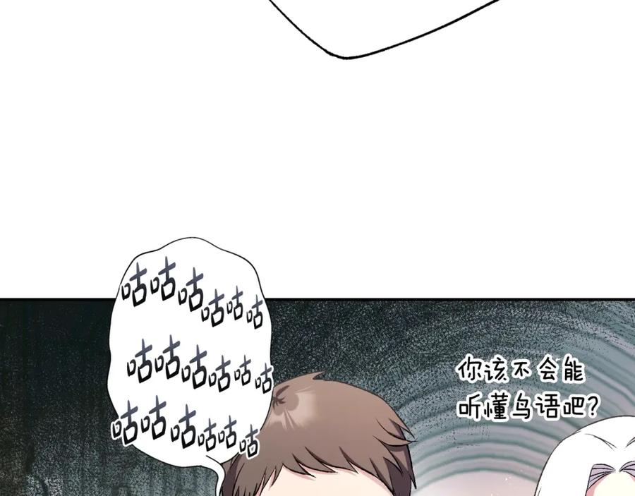 第234页