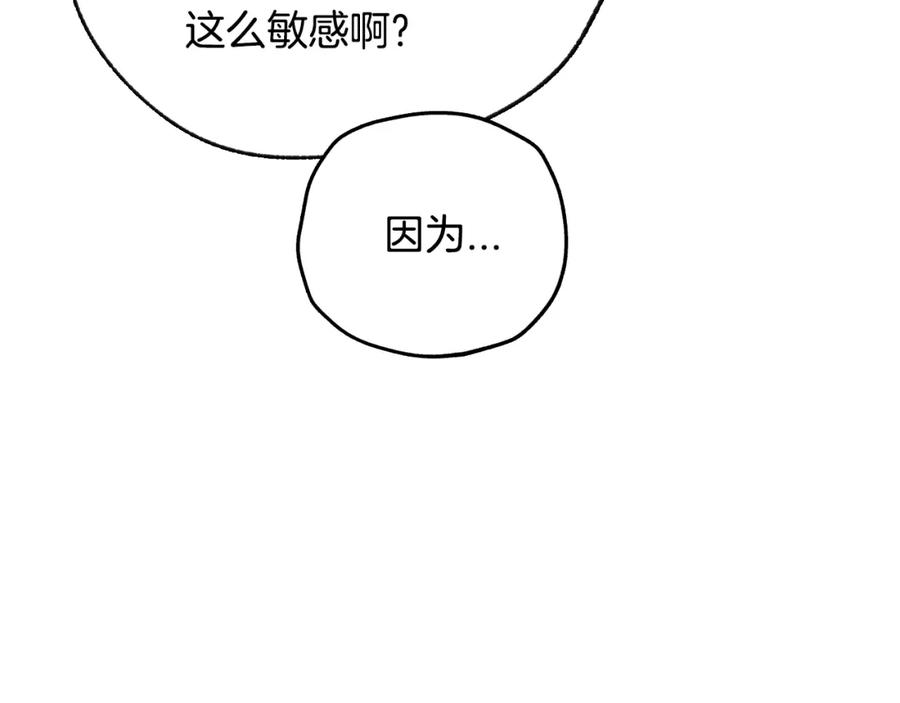 第239页