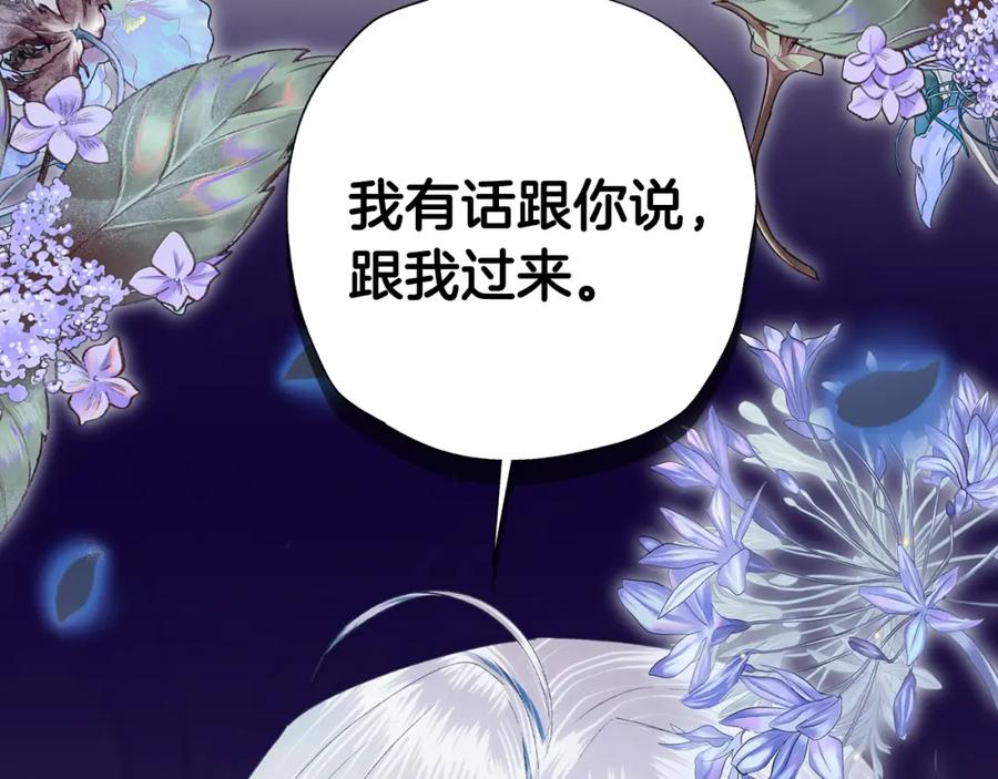 第255页