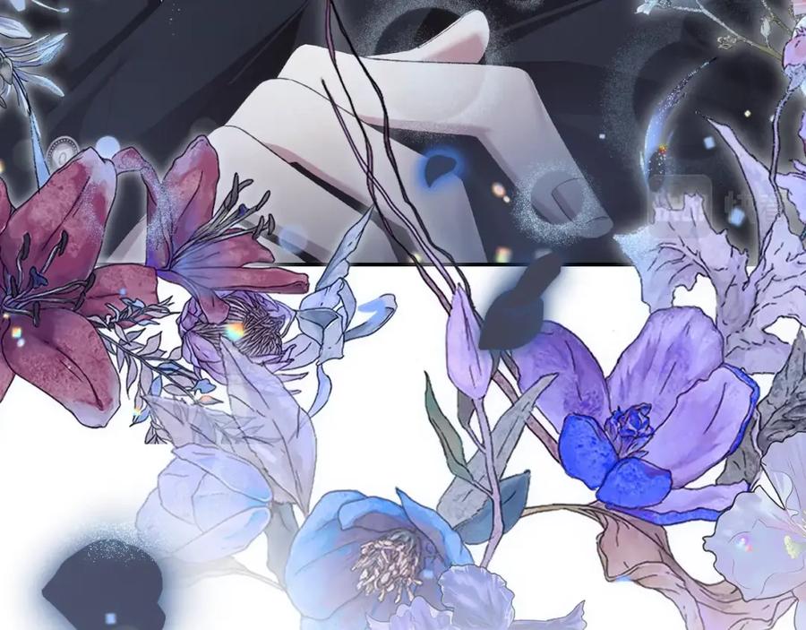 第258页