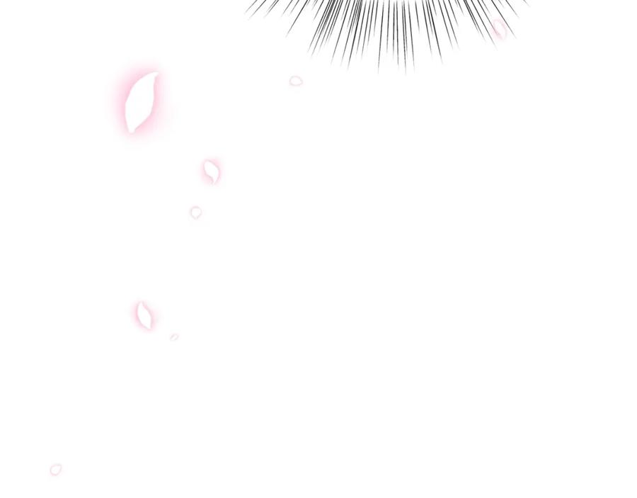 第238页