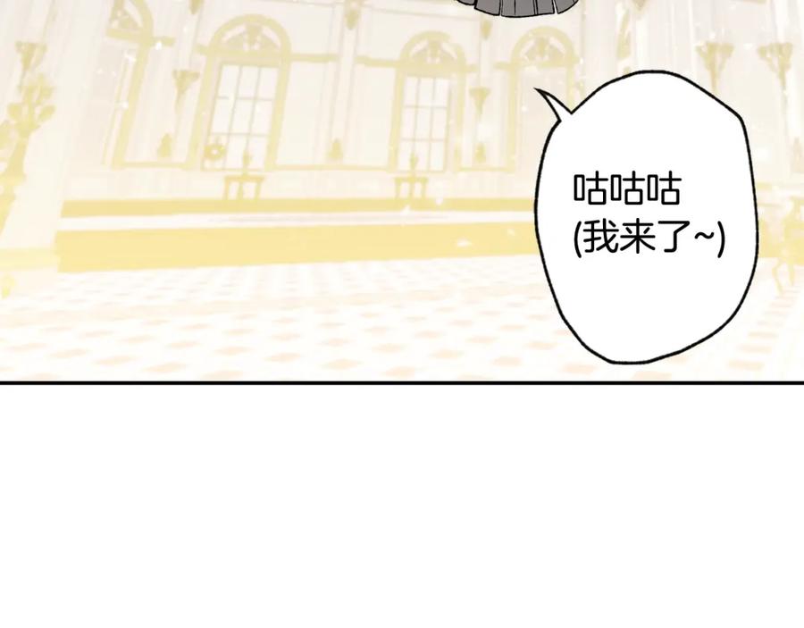 第278页