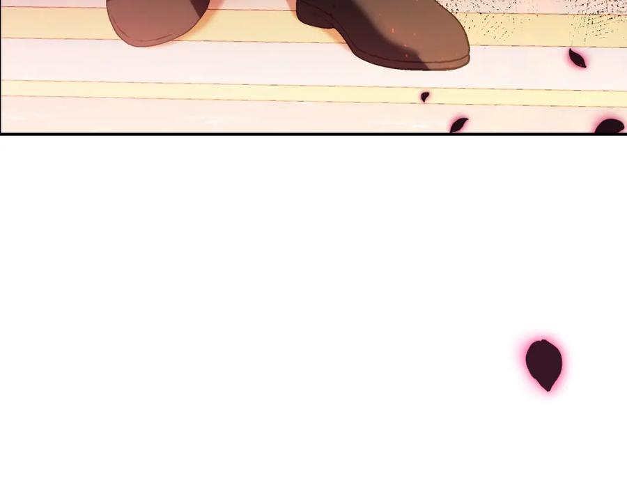 第232页