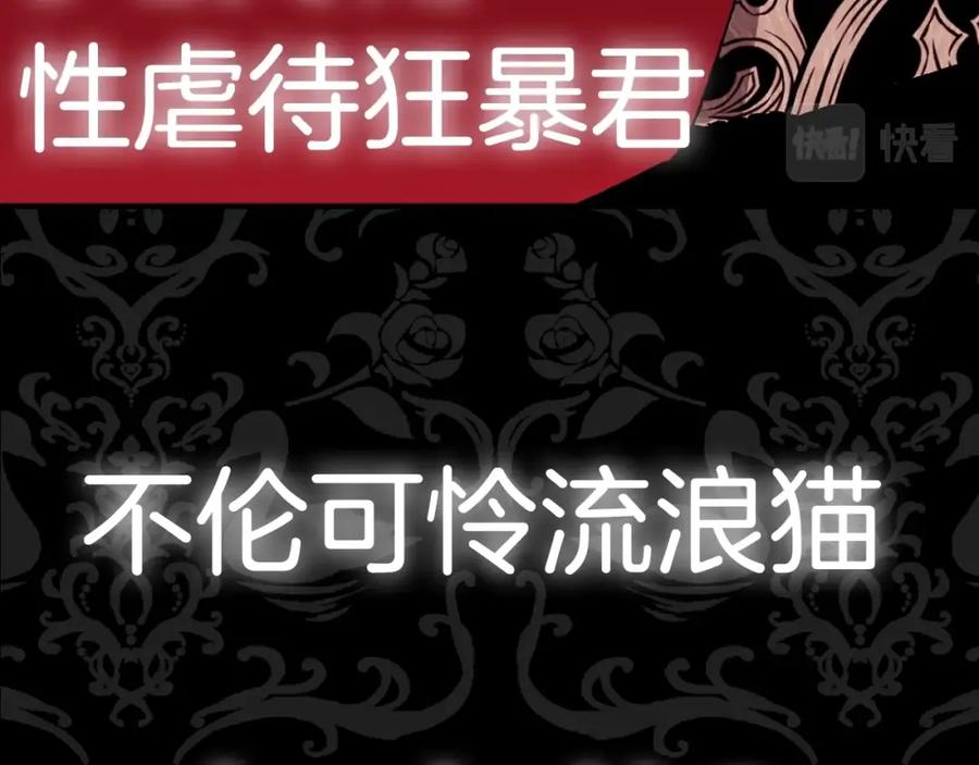 第255页