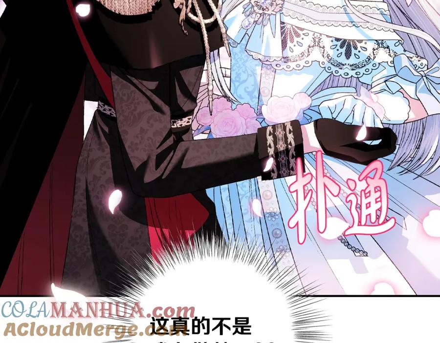 第221页