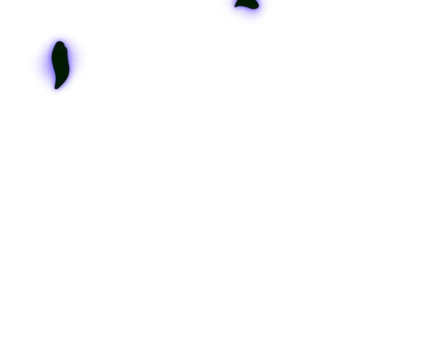 第242页