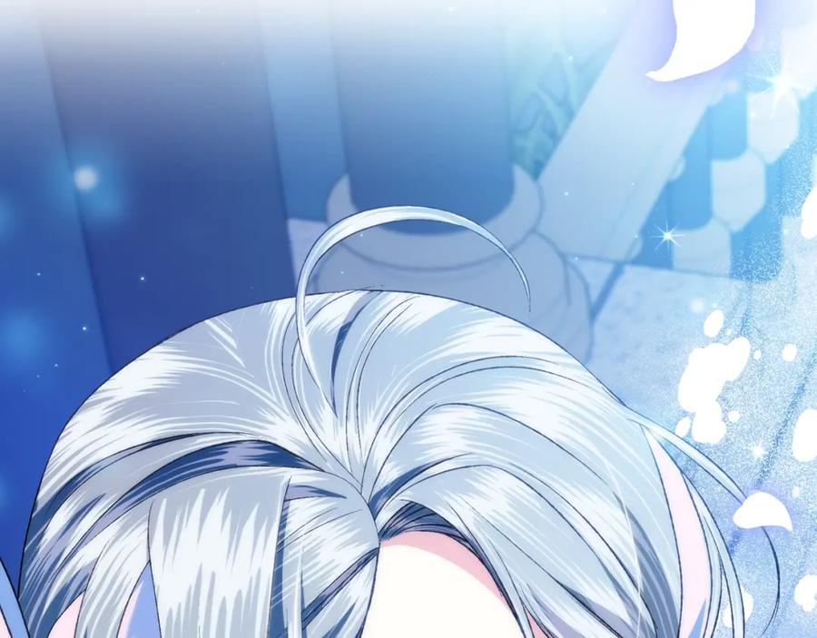 第251页