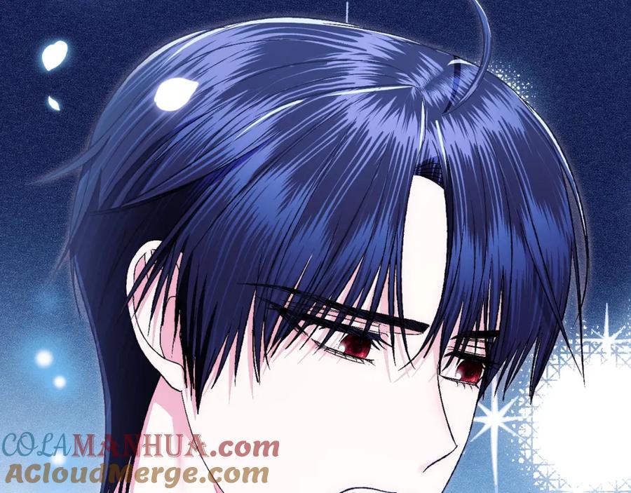 第221页