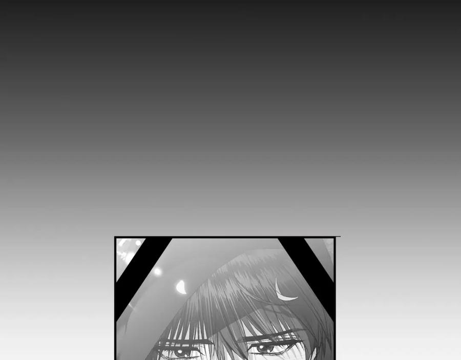 第244页