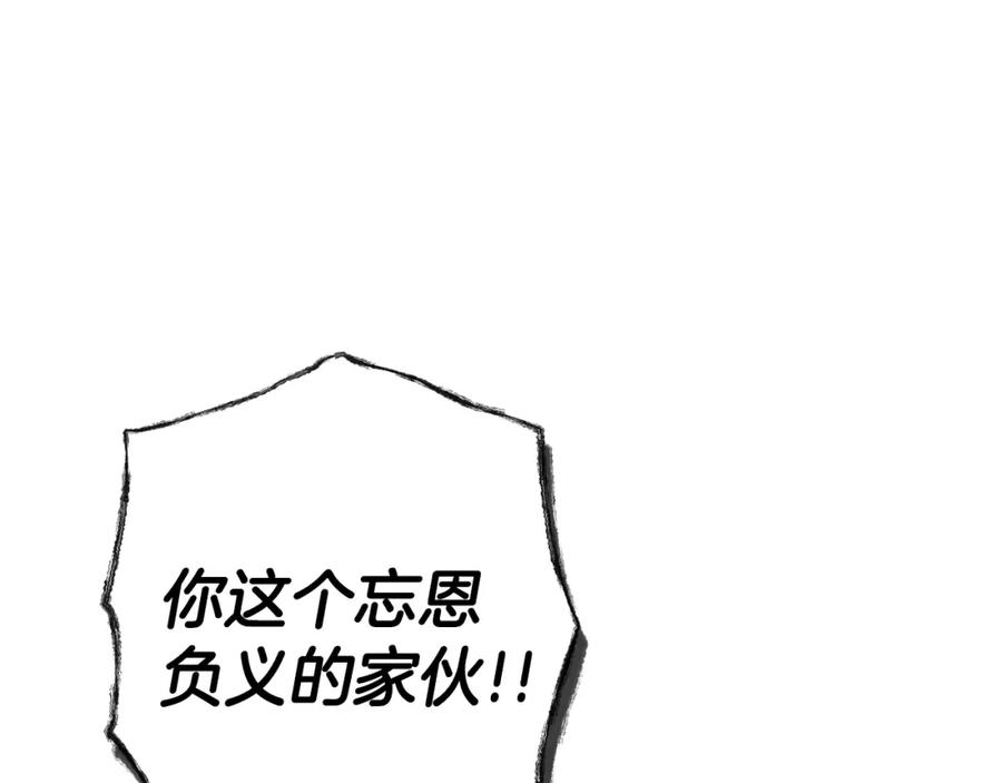 第223页